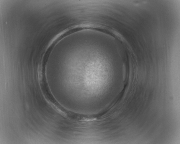 X0000082990484200702011433