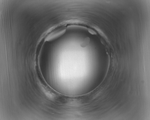 X0000082990486200702011433