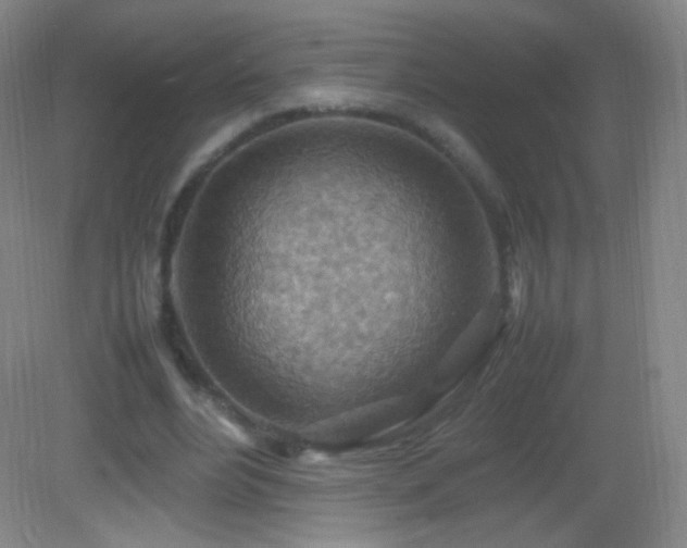 X0000082990488200702011433