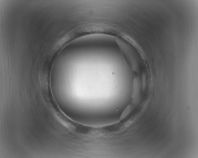 X0000082990489200702011433