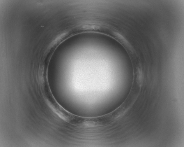 X0000082990490200702011433