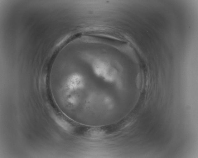 X0000082990491200702011433