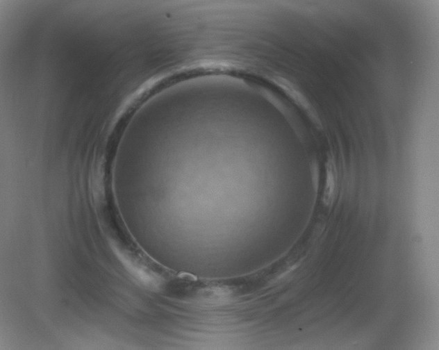 X0000082990492200702011433