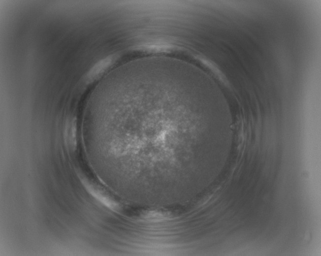 X0000082990494200702011433