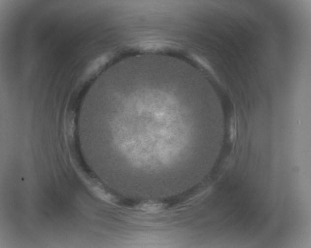 X0000082990495200702011433