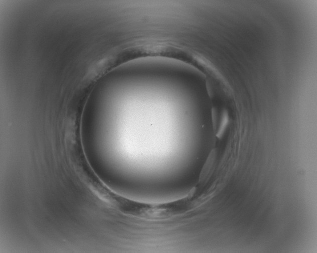 X0000082990497200702011433