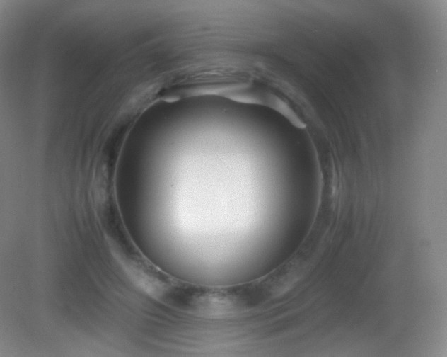 X0000082990498200702011432