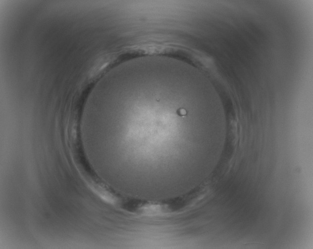 X0000082990499200702011432