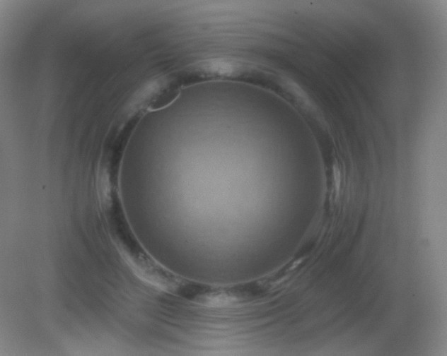 X0000082990500200702011432