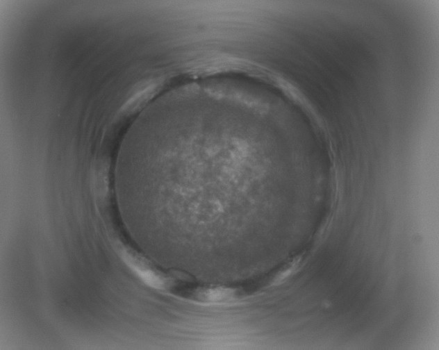 X0000082990501200702011432