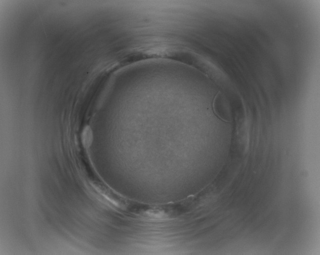 X0000082990502200702011432