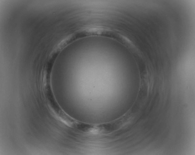 X0000082990504200702011432