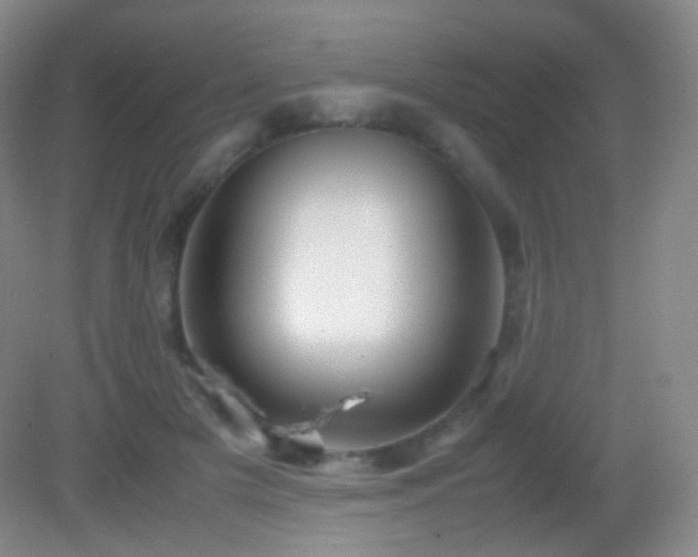 X0000082990505200702011432