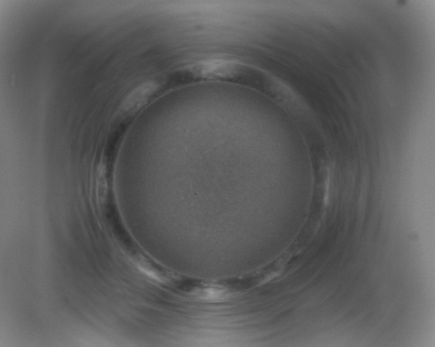 X0000082990506200702011432