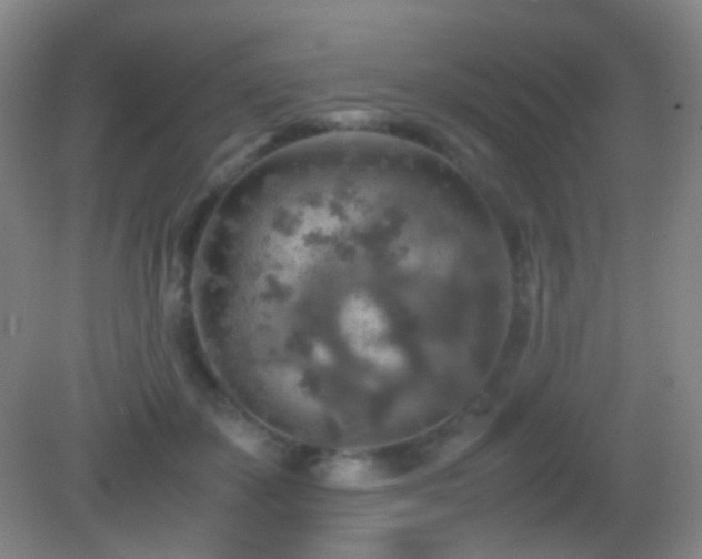 X0000082990507200702011432