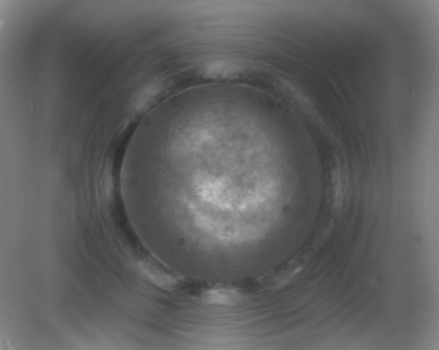 X0000082990508200702011432