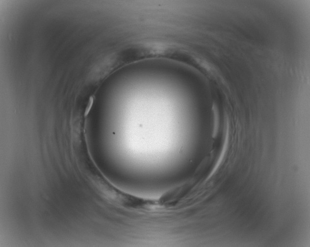 X0000082990509200702011432