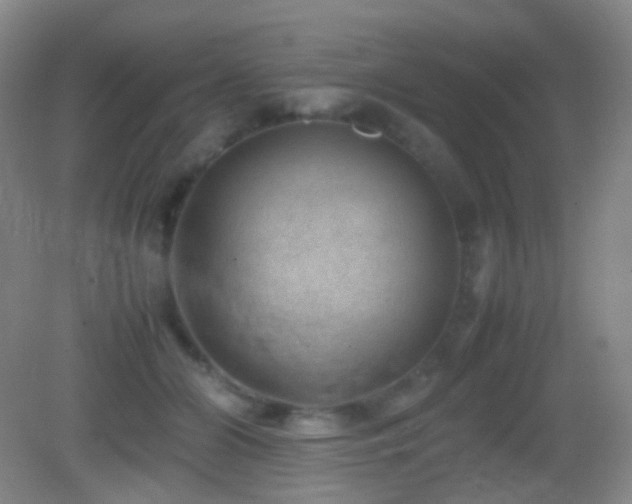 X0000082990510200702011432