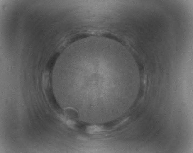 X0000082990511200702011432