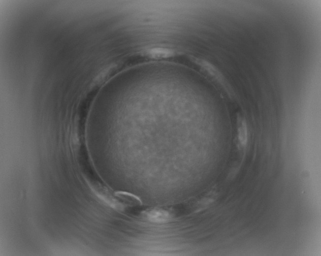 X0000082990512200702011432