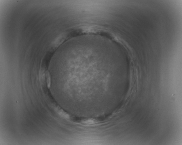 X0000082990513200702011432