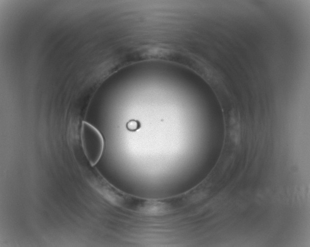 X0000082990514200702011432