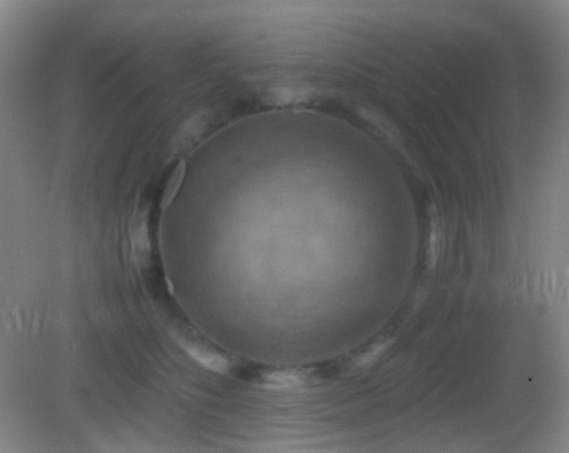 X0000082990516200702011432