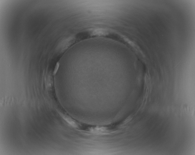 X0000082990517200702011432