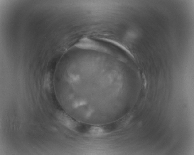 X0000082990519200702011432