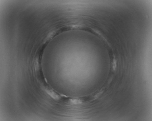 X0000082990520200702011432