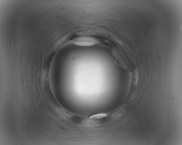 X0000082990521200702011432