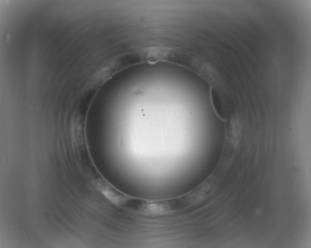 X0000082990522200702011432