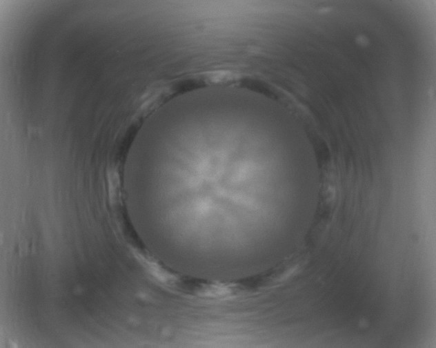 X0000082990523200702011432