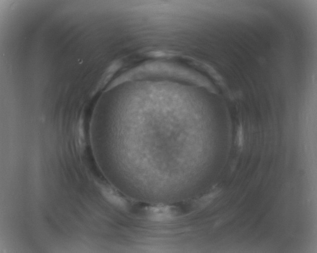 X0000082990524200702011432