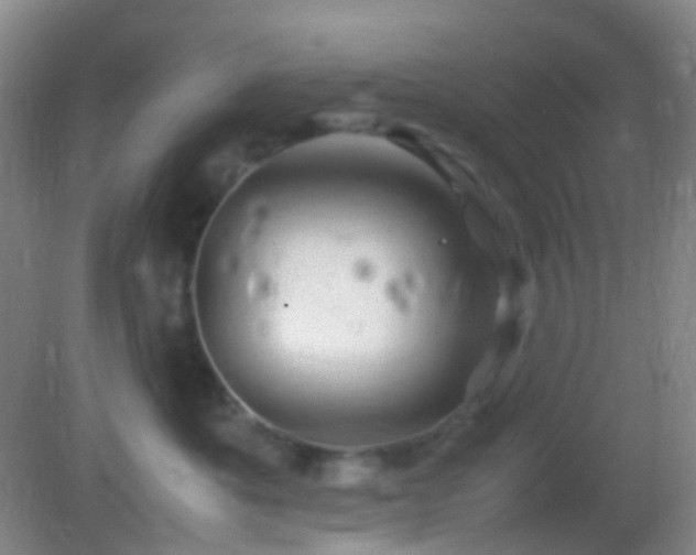 X0000082990525200702011432