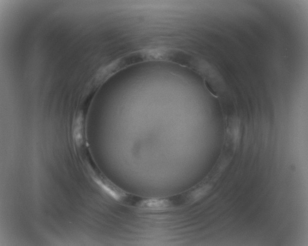 X0000082990526200702011432