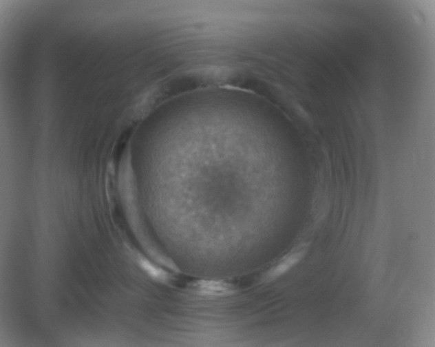 X0000082990528200702011432