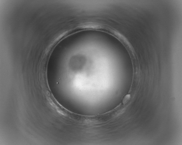 X0000082990529200702011431