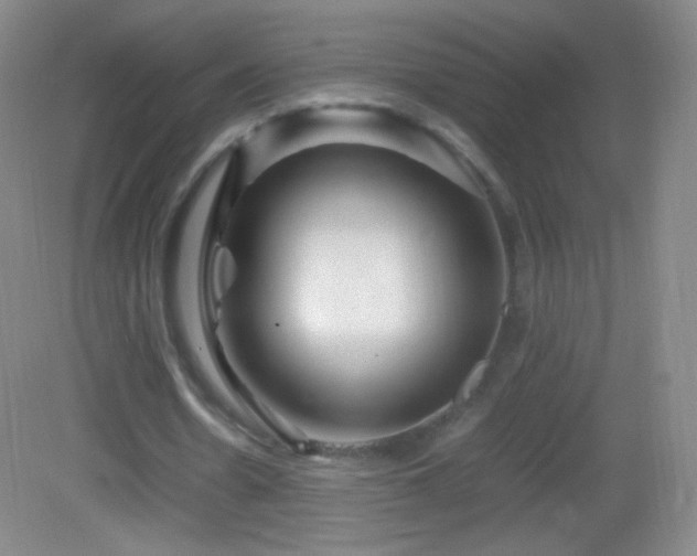 X0000082990530200702011431