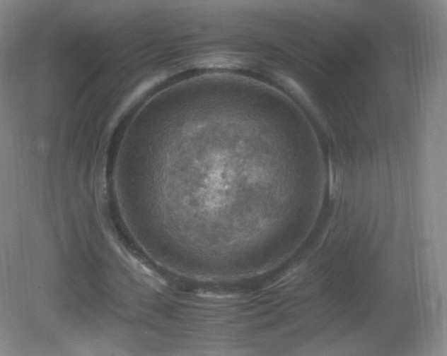 X0000082990531200702011431