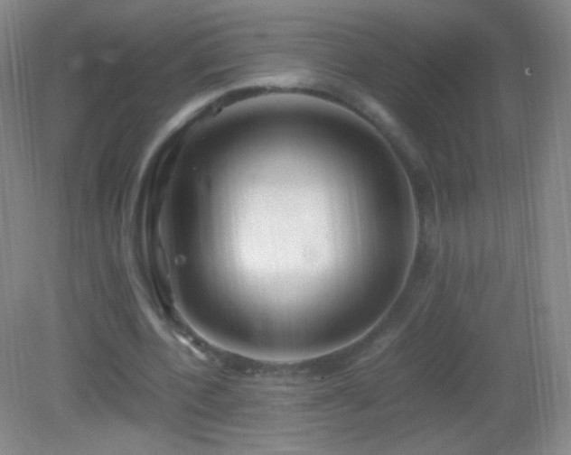 X0000082990532200702011431