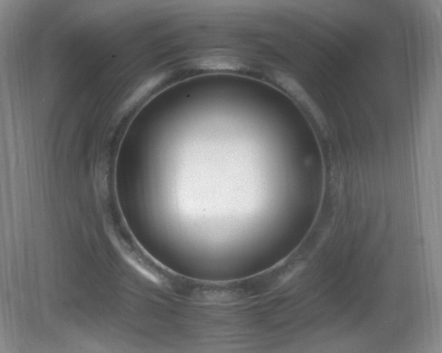 X0000082990533200702011431