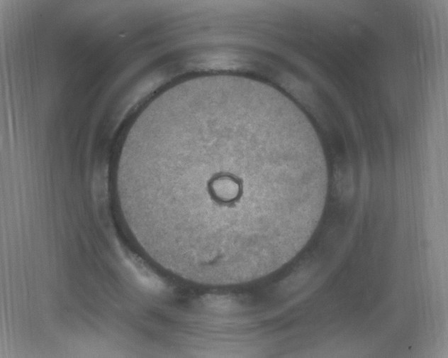 X0000082990534200702011431