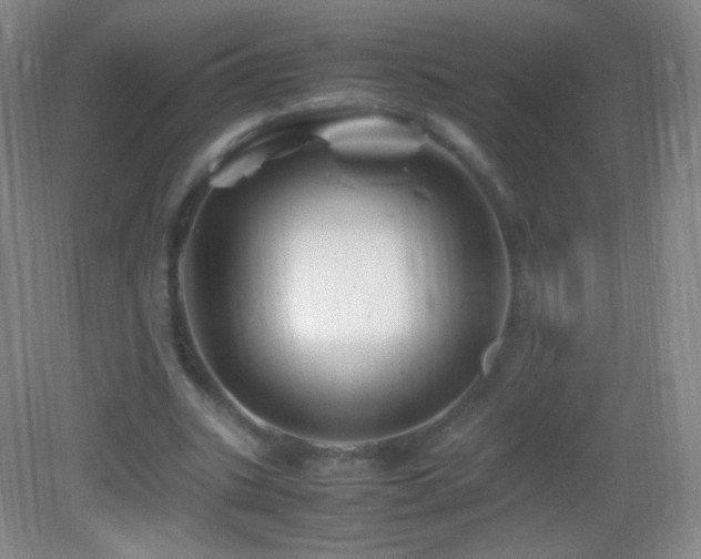 X0000082990535200702011431