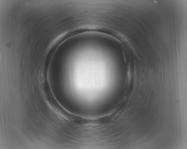 X0000082990536200702011431