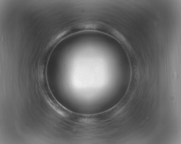 X0000082990537200702011431