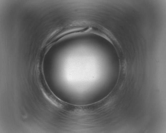 X0000082990538200702011431