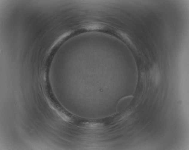 X0000082990539200702011431