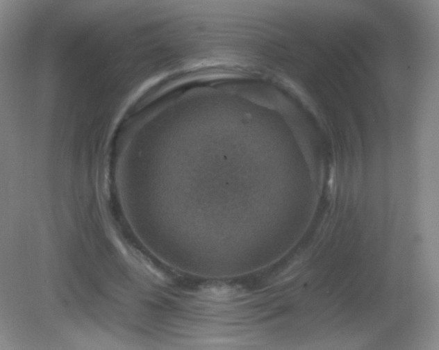 X0000082990540200702011431