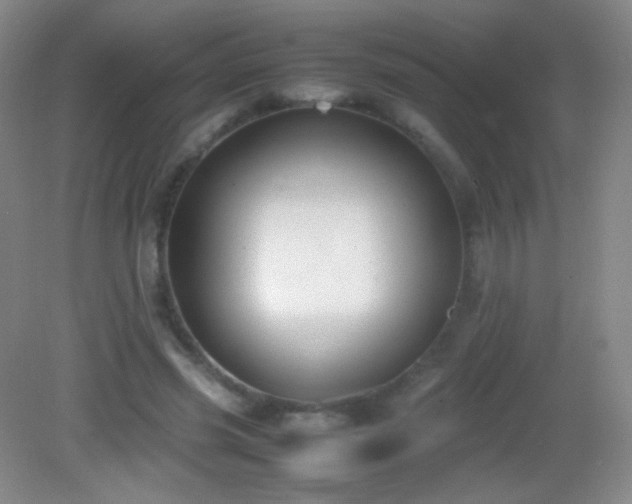 X0000082990541200702011431